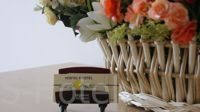 DSC09970