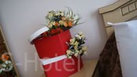 DSC09987
