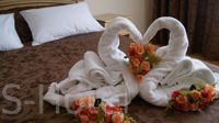 DSC09974
