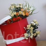 DSC09988